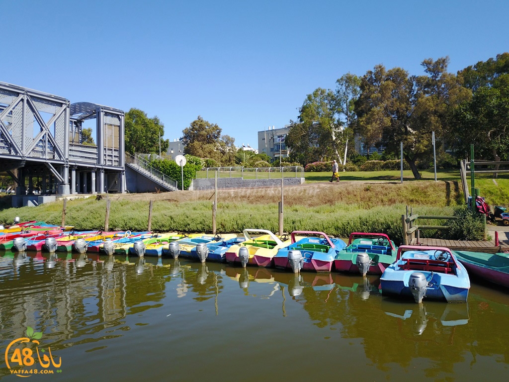 al3oja nahre (9).JPG